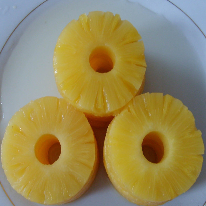 567g wholesale fresh canned pineapple